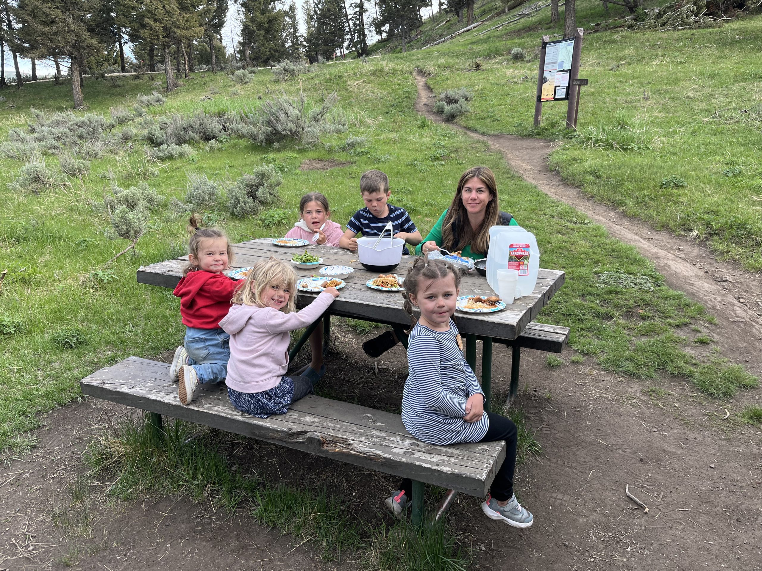 The 5 Best Family Friendly Picnic Spots in Yellowstone National Park: Local Tips and Hidden Gems
